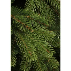Black Box Trees Kerstboom Brampton (H185Xo127 Cm)