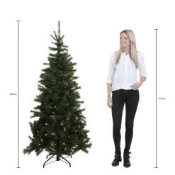 Black Box Trees Kerstboom Brampton (H185Xo127 Cm)