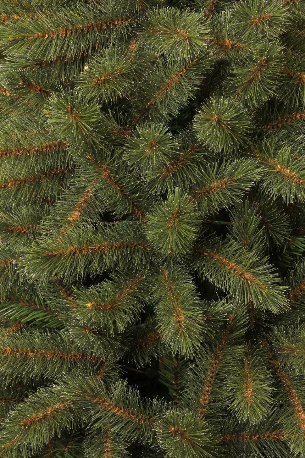 Black Box Trees Kerstboom Toronto (H185 X O114 Cm)