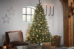 Black Box Trees Kerstboom Toronto (H155 X O102 Cm)