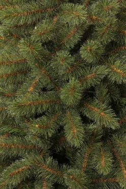 Black Box Trees Kerstboom Toronto (H155 X O102 Cm)