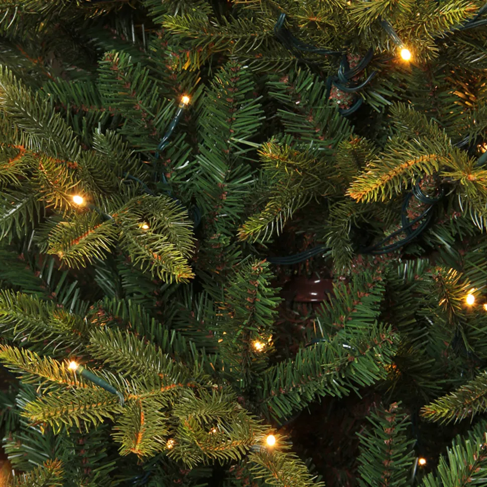 Black Box Trees Verlichte Kerstboom Frasier (H185 X O124 Cm)