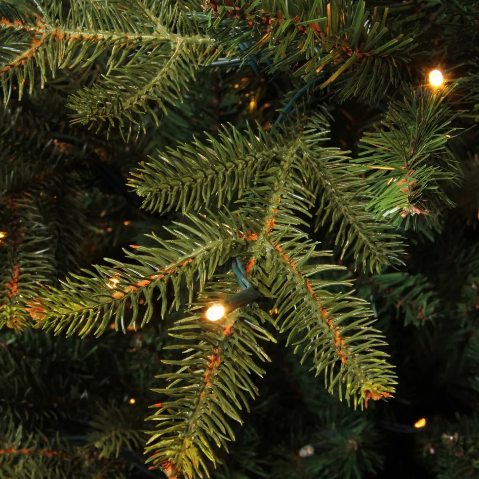 Black Box Trees Verlichte Kerstboom Frasier (H185 X O124 Cm)
