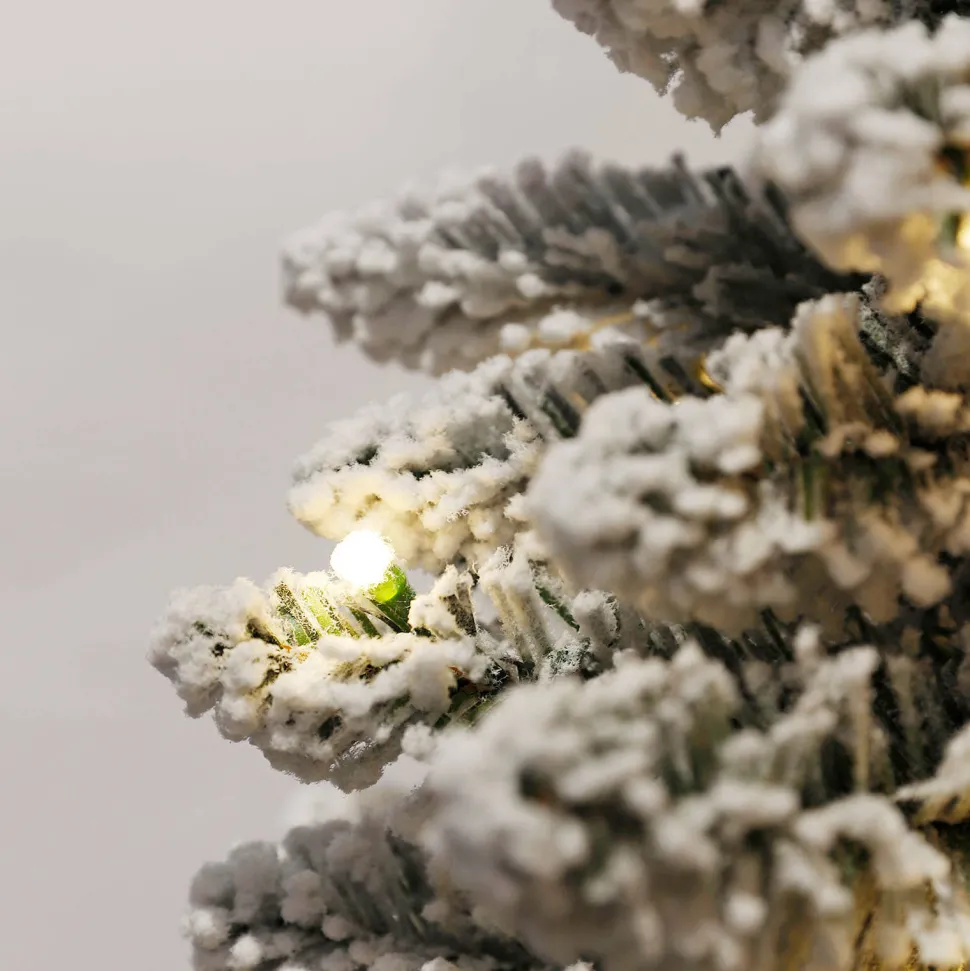 Black Box Trees Verlichte Kerstboom Jurva (H185 X O61 Cm)