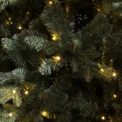 Black Box Trees Verlichte Kerstboom Elkins (H230 X O132 Cm)