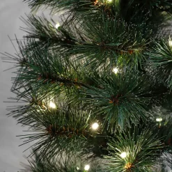 Black Box Trees Verlichte Kerstboom Sotka (H215 X O71 Cm)