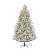 Black Box Trees Verlichte Kerstboom Frasier (H215 X O145Cm)