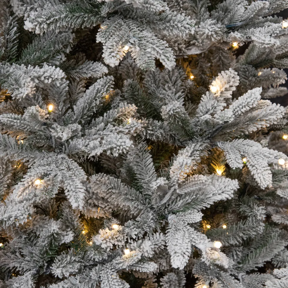 Black Box Trees Verlichte Kerstboom Frasier (H185 X O124Cm)