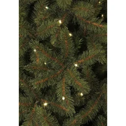 Black Box Trees Verlichte Kerstboom Toronto (H215Xo132 Cm)