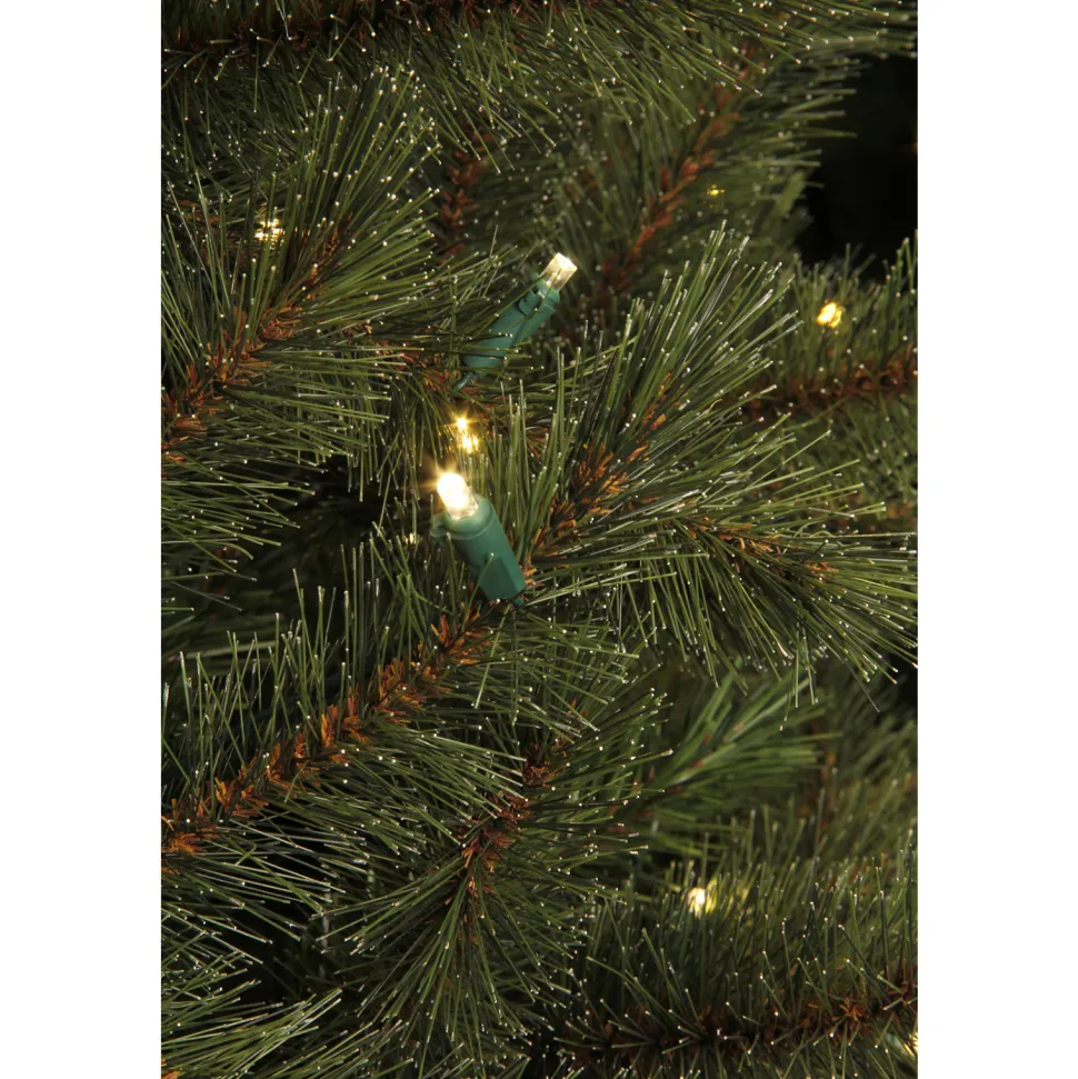 Black Box Trees Verlichte Kerstboom Toronto (H215Xo132 Cm)