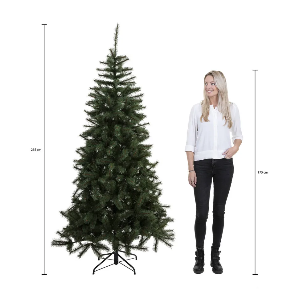 Black Box Trees Verlichte Kerstboom Toronto (H215Xo132 Cm)