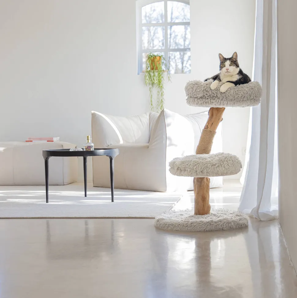 Designed By Lotte Houten Krabmeubel Zora -50X72-Grijs