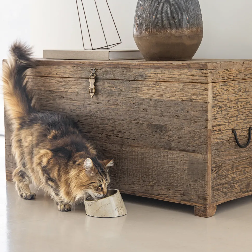 Designed By Lotte Kattenvoerbak Vita 160 Ml Beige