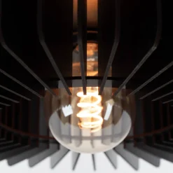 Eglo Plafondlamp Palombaia
