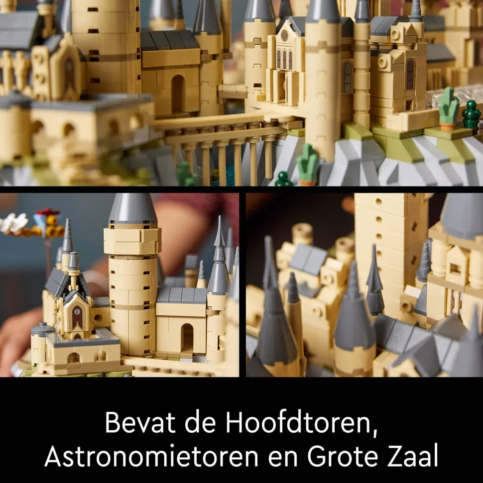 Lego Harry Potter Kasteel Zweinstein En Terrein 76419