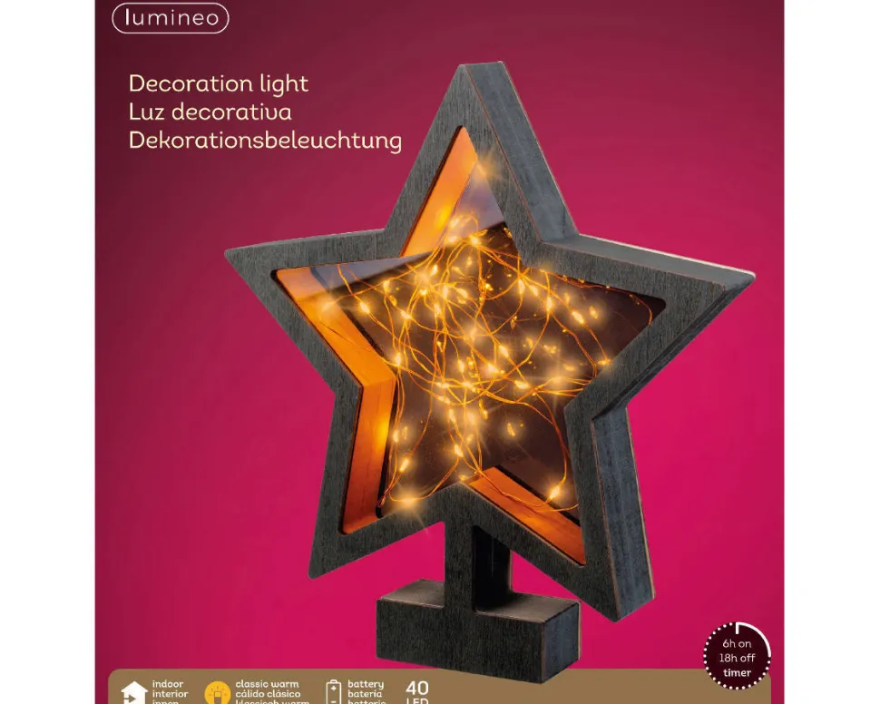 Lumineo Micro Ster Op Poot (40 Led)