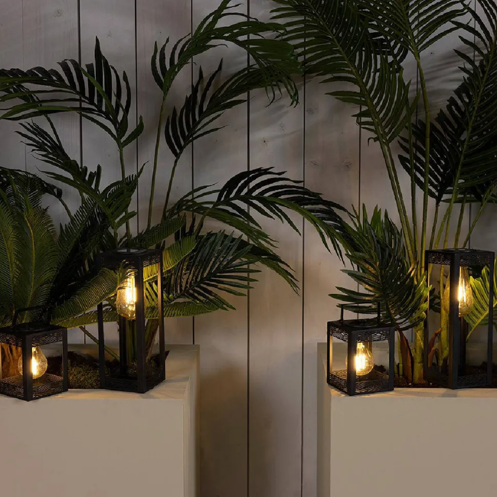 Lumineo Solar Light Solar