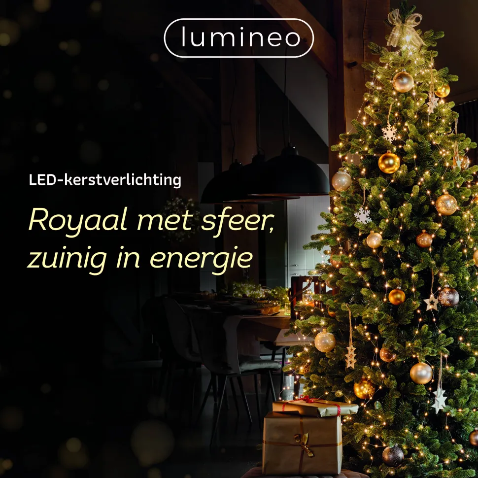 Lumineo Verlichtingssnoer Kerst Cluster (768 Led)