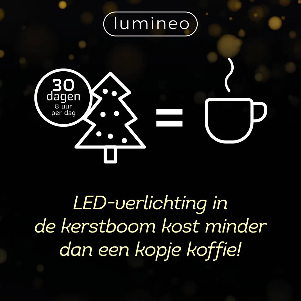 Lumineo Verlichtingssnoer Met Twinkel (500 Led)