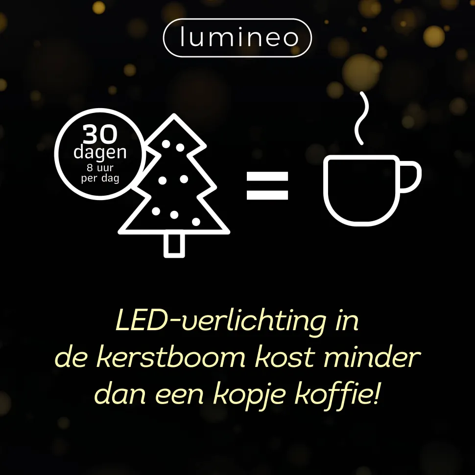 Lumineo Verlichtingssnoer Kerst Cluster (1128 Led)