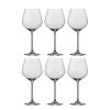 Schott Zwiesel Bourgogneglas Fortissimo - Set Van 6