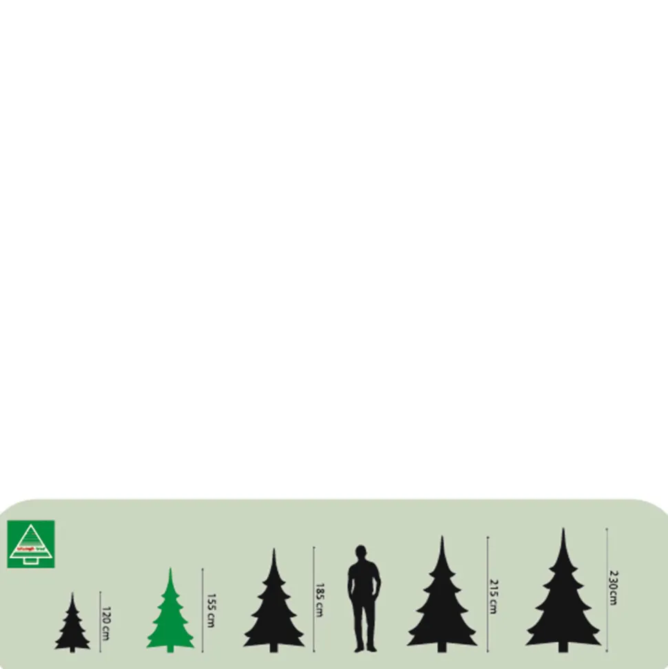 Triumph Tree Verlichte Kerstboom Forest Frosted (H155 X O119 Cm)